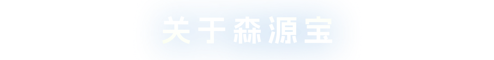 关于森源宝